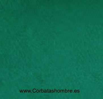 CORBATA VERDE VIVO ESTRECHA Y ELEGANTE 